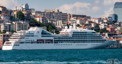 Istanbul Cruise Ship