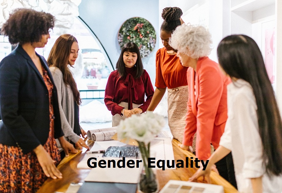 Gender Equality, Gender Experts
